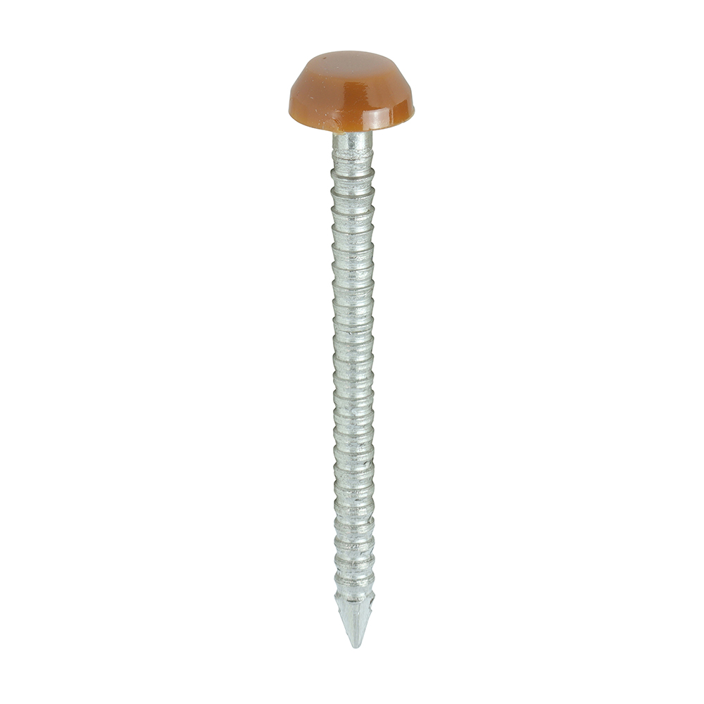 TIMCO Polymer Headed Pins A4 Stainless Steel Clay Brown - 30mm