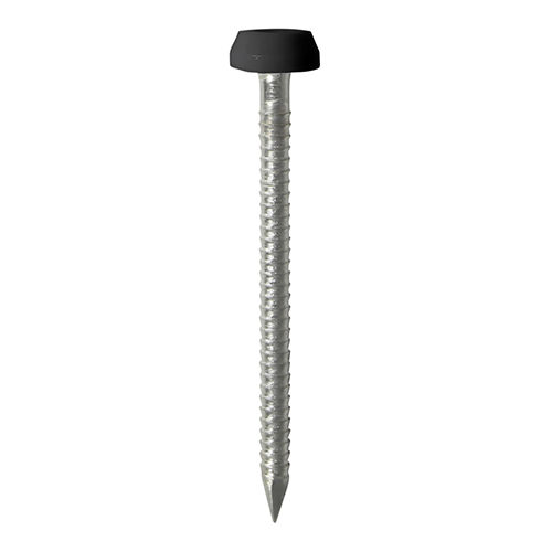 TIMCO Polymer Headed Pins A4 Stainless Steel Black - 40mm