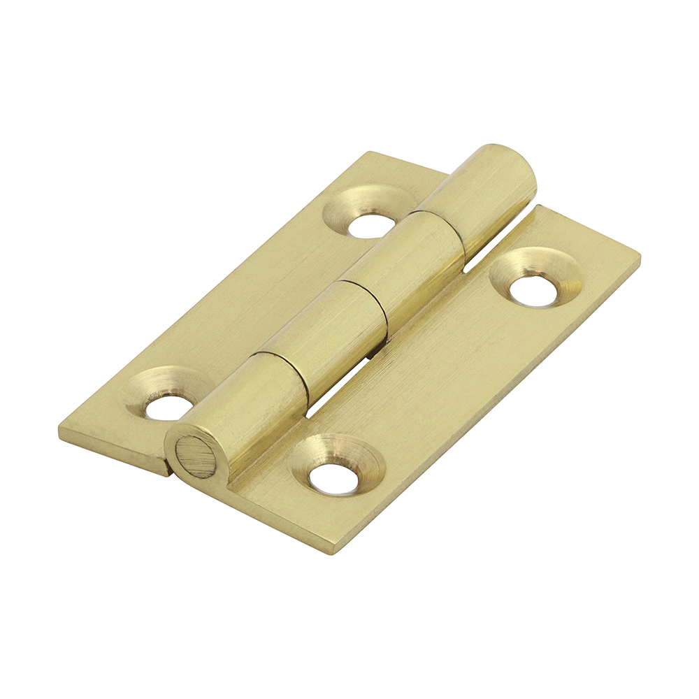 Solid Drawn Brass Hinges Polished Brass - 38 x 22
