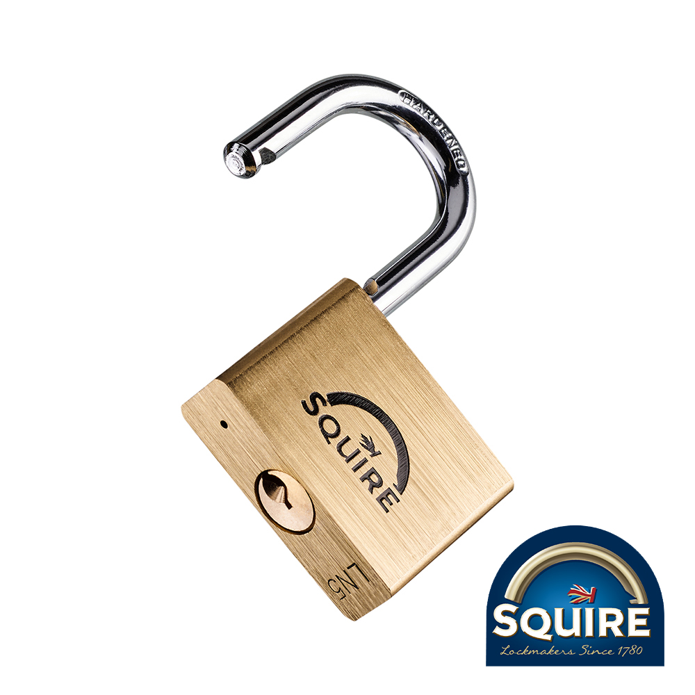 Premium Brass Lion Padlock - Stainless Steel Shackle - 50mm