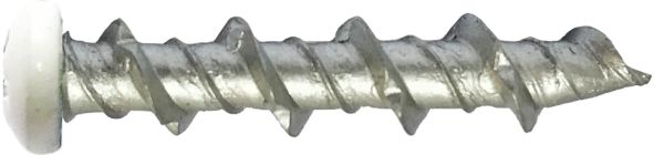 WALL SCREW 5MM X 38MM PAN WHITE         