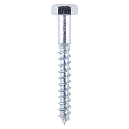 Coach Screws Hex Head Silver  - 10.0 x 150
