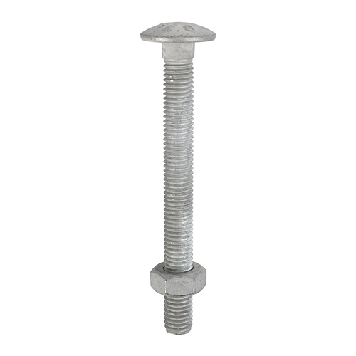 [TIM110302] Carriage Bolts DIN603 & Hex Full Nuts DIN934 Hot Dipped Galvanised - M8 x 75