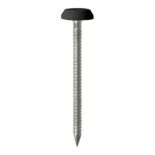 [TIM1300550] TIMCO Polymer Headed Nails A4 Stainless Steel Black - 65mm