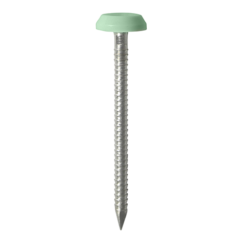 [TIM1300554] TIMCO Polymer Headed Nails A4 Stainless Steel Chartwell Green - 65mm