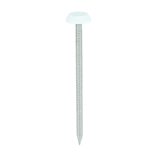 [TIM1300555] TIMCO Polymer Headed Nails A4 Stainless Steel White - 65mm