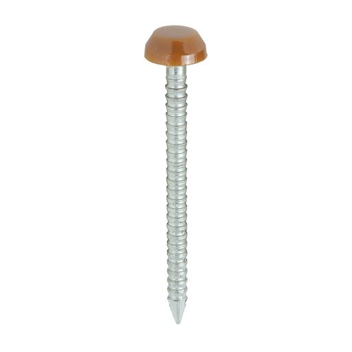 [TIM1300564] TIMCO Polymer Headed Pins A4 Stainless Steel Clay Brown - 30mm