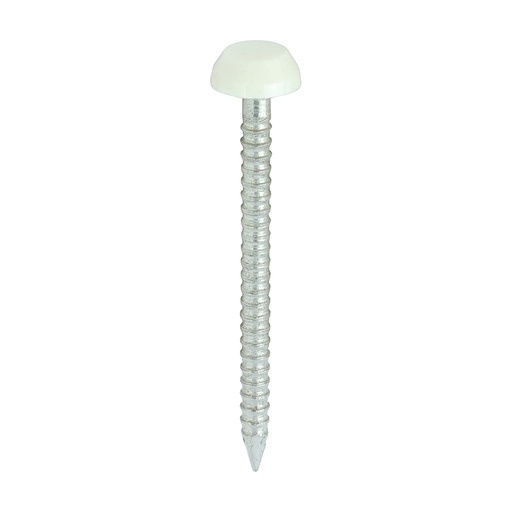 [TIM1300565] TIMCO Polymer Headed Pins A4 Stainless Steel Cream - 30mm