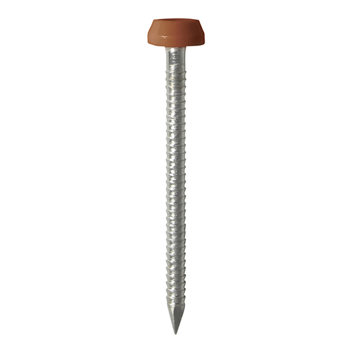 [TIM1300574] TIMCO Polymer Headed Pin A4 Stainless Steel Clay Brown - 40mm