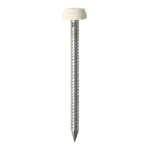 [TIM1300575] TIMCO Polymer Headed Pin A4 Stainless Steel Cream - 40mm
