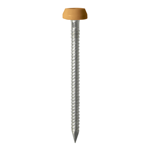 [TIM1300577] TIMCO Polymer Headed Pins A4 Stainless Steel Oak - 40mm